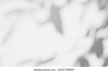 Abstract shadow overlay from tree branch on a transparent background.