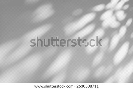 Abstract shadow overlay from tree branch on a transparent background.