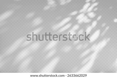 Abstract shadow overlay from tree branch on a transparent background.
