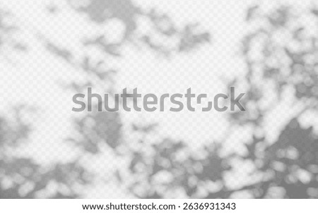 Abstract shadow overlay from tree branch on a transparent background.