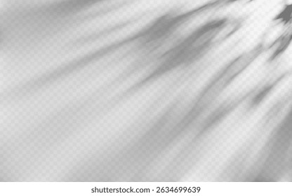Superposition d'ombre d'Abstrait à partir d'un arbre sur fond transparent.