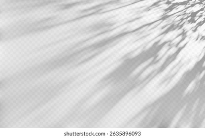 Superposition d'ombre d'Abstrait à partir d'un arbre sur fond transparent.