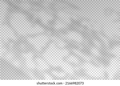 Abstract shadow from the window. Reflected from sun light for effect overlay. Tree shades on the wall isolated on transparent background. Reflection sunlight. Design summer mockup. Vector illustration