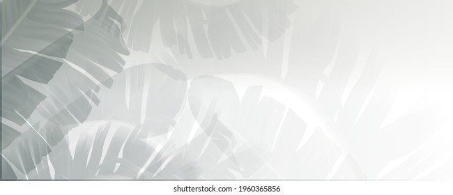 Abstract shadows, a background of gray palm leaves and natural trees reflecting concrete walls, fallen branches on white wall surfaces for backgrounds and black-and-white wallpaper, . Vector