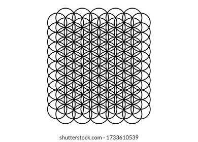 Abstract shape created by multitude of circles, strokes, symbol called flower of life, black and white