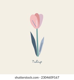 Abstract shape cutouts tulip flower vector illustration. Minimalistic floral summer spring pre-made print poster design.