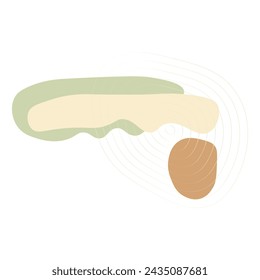 Abstract shape style, nature organic. Vector illustration.