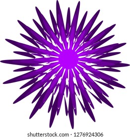 Abstract shape. Stylized star. Colorful graphic element for design. Vector illustration.