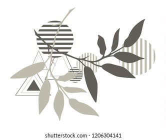 abstract shapes with plants vector, white background