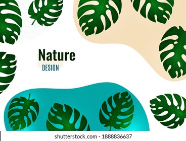 Abstract shapes with wavy edges, monstera leaves on a white background. Stylish modern eco template for design. Vector illustration.