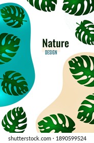 Abstract shapes with wavy edges, monstera leaves on a white background. Stylish modern eco template for your design. Vector illustration.