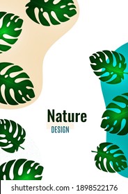 Formas abstractas con bordes ondulados, hojas monsteras sobre un fondo blanco. Diseño moderno y elegante. Ilustración vectorial.
