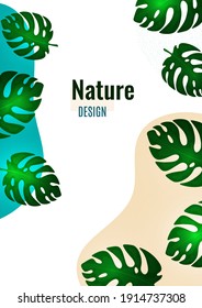 Abstract shapes with wavy edges, monstera leaves on a white background. Stylish modern eco template for your design. Vector illustration.