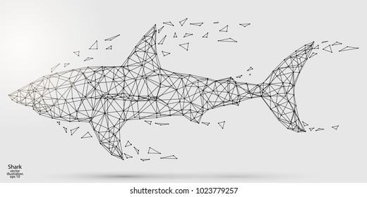 Abstract shark consists of lines and triangles. The illustration is made up of polygons and points, stars in the sky. Vector EPS 10.