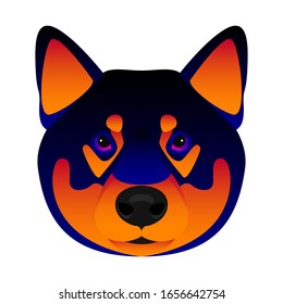 Abstract shiba inu dog head isolated on white. Cartoon shiba inu dog portrait painted in imaginary colors for birthday card, invitation, veterinary clinic banner, book, scrapbook, t-shirt, poster etc.