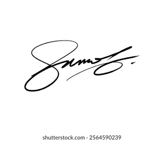 Abstract signature idea starting letter S for document. Vector with transparent background or alpha channel.