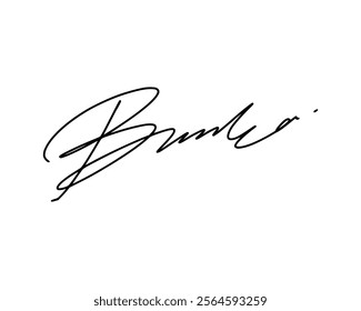 Abstract signature ideas starting with the first letter B. Vector with transparent background or alpha channel.