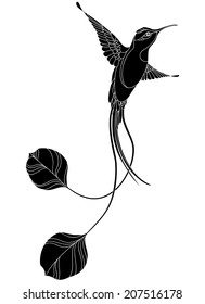 abstract silhouette of hummingbird, isolated object