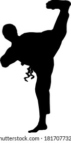 Abstract silhouette of a karate fighter