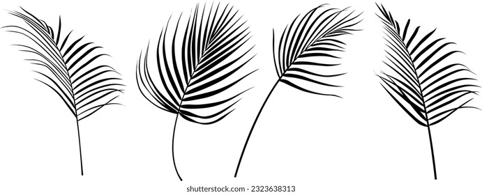 Abstract silhouette leaves isolated on white collection. Tropical leaves set. Hand drawn vintage illustration.