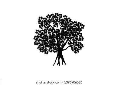 abstract and silhouette of maple tree on white background