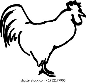 Abstract silhouette outline of cockerel chicken. Lineart vector illustration.