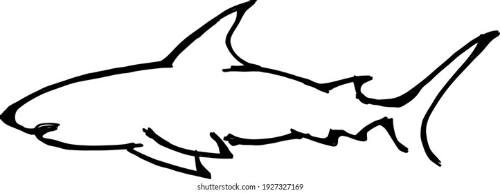 Abstract silhouette outline of a swimming shark. Lineart vector illustration.