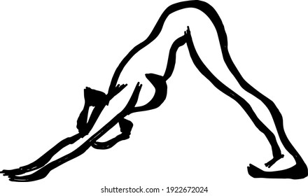 Abstract silhouette outline of a woman executing the downward-facing dog yoga pose. Lineart vector illustration.