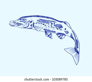 Abstract silhouette of a pike