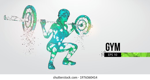 Abstract silhouette of a wireframe bodybuilder. Woman on the white background. Gym. Convenient organization of eps file. Vector illustration. Thanks for watching