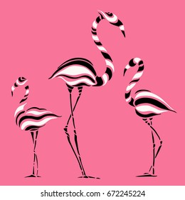 Abstract Silhouettes of pink Flamingo. Beautiful Vector illustration.