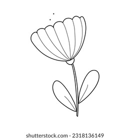 Abstract Simple Black White Flowers. Elements of decoration and design.