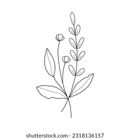 Abstract Simple Black White Flowers. Elements of decoration and design.