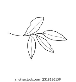 Abstract Simple Black White Flowers. Elements of decoration and design.