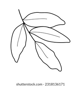 Abstrakte, einfache schwarze weiße Blumen. Gestaltungselemente und Gestaltungselemente.
