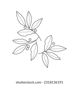 Abstract Simple Black White Flowers. Elements of decoration and design.