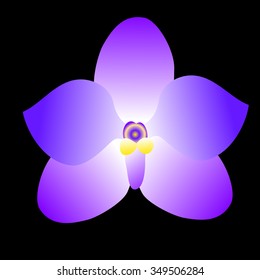 abstract simple purple orchid vector illustration esp 10 black isolate