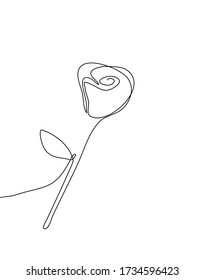 Abstract single line art drawing of a rose