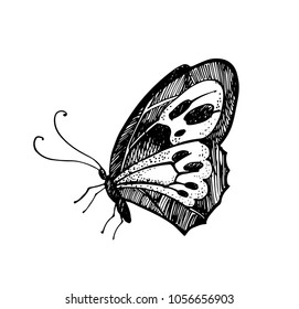 Abstract sketch of a decorative butterfly. Hand drawn illustration for greeting card or any other kind of design