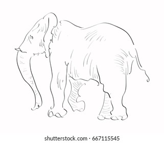 Abstract sketch vector elephant illustration. Black contour on a white background