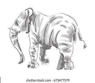 Abstract sketch vector elephant illustration. Isolated on a white background