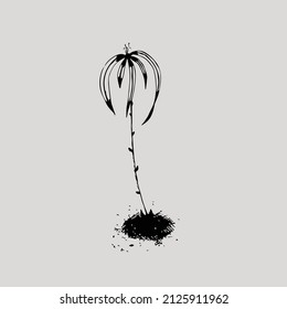 Abstract  Sketched Single Flower in Black