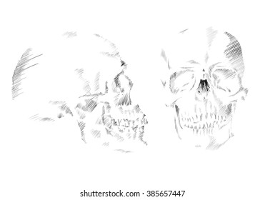 Abstract skull drawn in monochrome in hatching-style. Vector illustration Skull