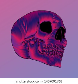 Abstract Skull Illustration, Isolated Vector