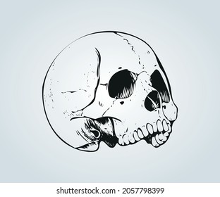 Abstract skull mask for halloween and horror time