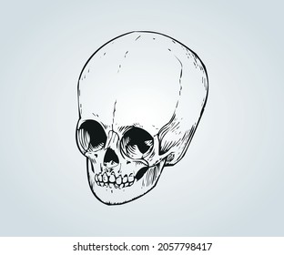 Abstract skull mask for halloween and horror time