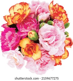 Abstract of Smaller carnations arrangements on  white background.