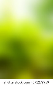 Abstract smooth blur green background for any design to put over. Vertical format.