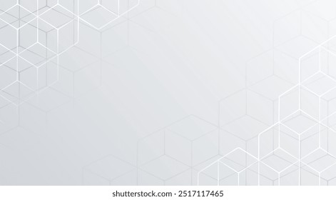 abstract and smooth geometric white background with blank space vector