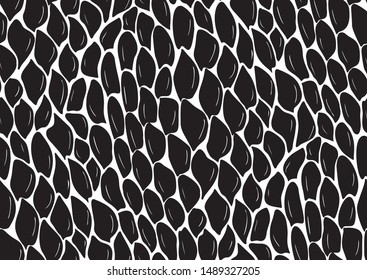 Abstract snake scales skin seamless on white background. Vector illustration background. Trendy exotic background.
